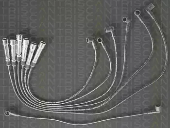 triscan-88607160