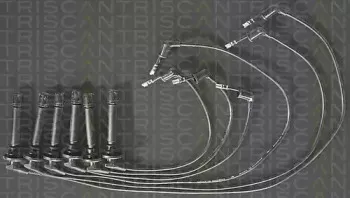 triscan-88607205