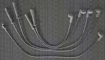 triscan-88607221