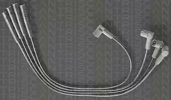 triscan-88607238