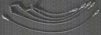 triscan-88607259