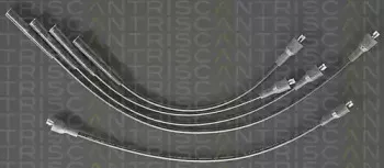 triscan-88607262