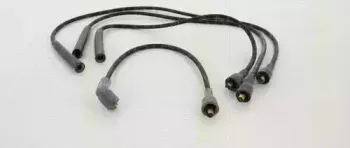 triscan-88607268