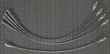 triscan-88607272
