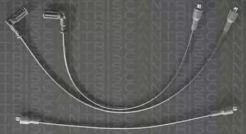 triscan-88607275