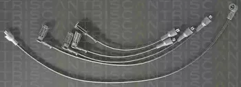 triscan-88607282