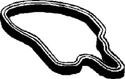 193.640 ELRING Прокладка, крышка головки цилиндра