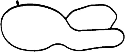 249.160 ELRING Прокладка, водяной насос