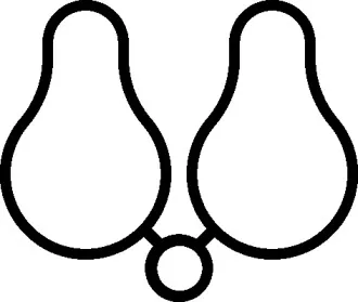 505.020 ELRING Прокладка, впускной коллектор