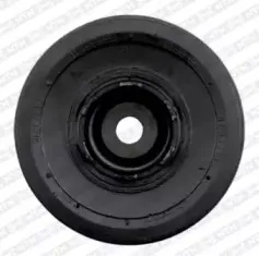 DPF350.07 SNR Ременный шкив, коленчатый вал