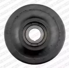 DPF353.01 SNR Ременный шкив, коленчатый вал