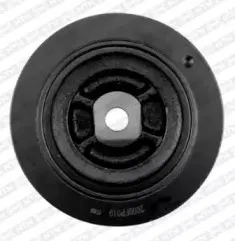 DPF355.20 SNR Ременный шкив, коленчатый вал