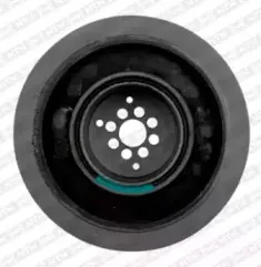 DPF357.01 SNR Ременный шкив, коленчатый вал