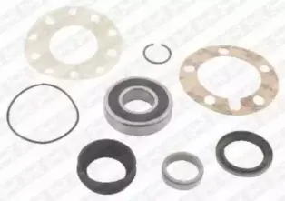 R169.43 SNR Комплект подшипника ступицы колеса