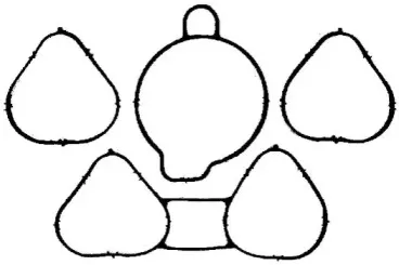 payen-ja5007