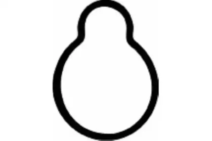 JD167 PAYEN Прокладка, впускной коллектор