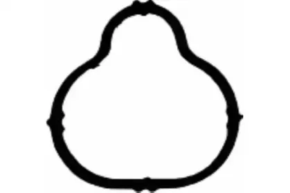 JD5117 PAYEN Прокладка, впускной коллектор