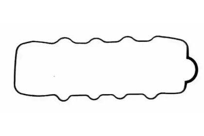 JN396 PAYEN Прокладка, крышка головки цилиндра