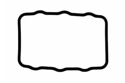 JN440 PAYEN Прокладка, крышка головки цилиндра