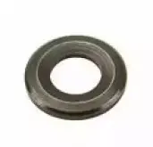 PA817 PAYEN Шайба тепловой защиты, система впрыска