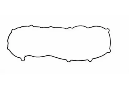 LB536 PAYEN Прокладка, крышка головки цилиндра