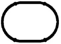 JD607 PAYEN Прокладка, впускной коллектор