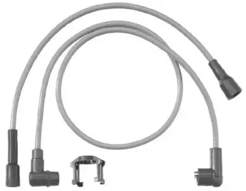beru-c10