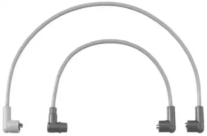 beru-c20