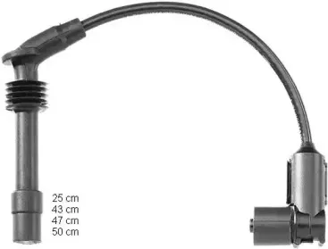 beru-zef1161