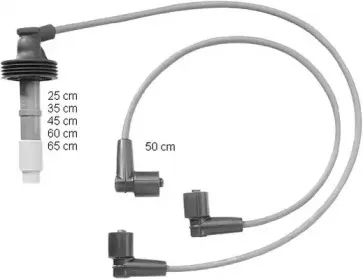 beru-zef1231