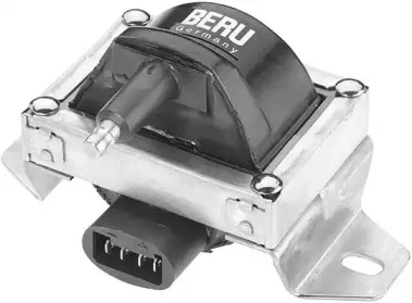 ZS257 BERU