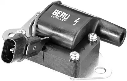 ZS263 BERU