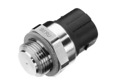 beru-st106