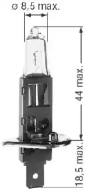 beru-112558