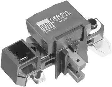 beru-ger061