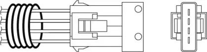 beru-oph019