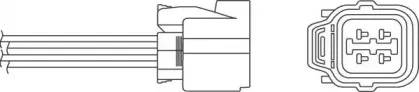 beru-oph032
