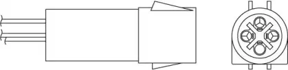 beru-ozh006