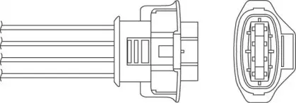 beru-ozh115