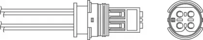 beru-ozh124