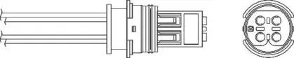 beru-ozh143