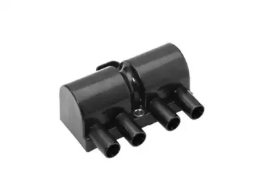 ZS447A BERU Катушка зажигания