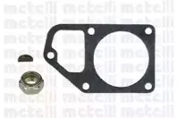 metelli-240129