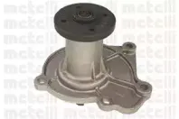 metelli-240208