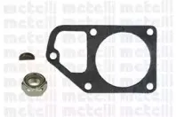 metelli-240309