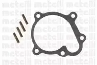metelli-240415