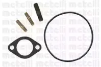 metelli-240454
