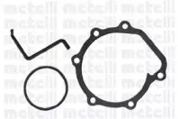 metelli-240519a