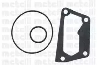 metelli-240552