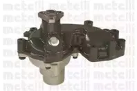 metelli-240605a